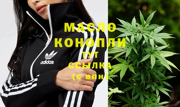 крисы Инта