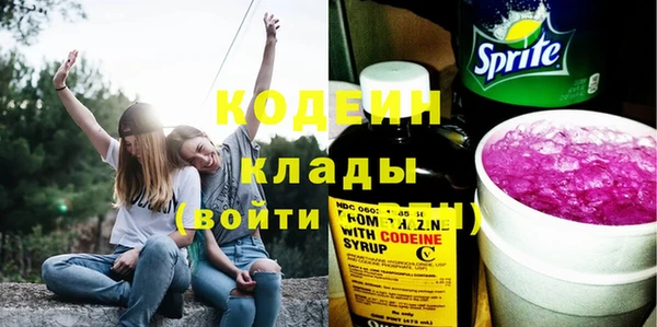 крисы Инта