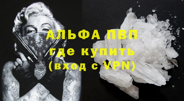 крисы Инта