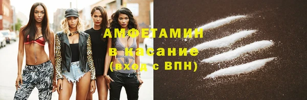 крисы Инта
