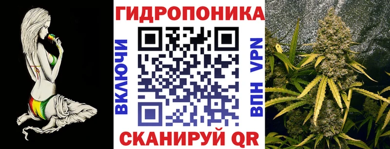 Купить где  Грайворон  Бошки марихуана сатива 